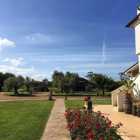 Villa Olga Tarquinia Exterior photo
