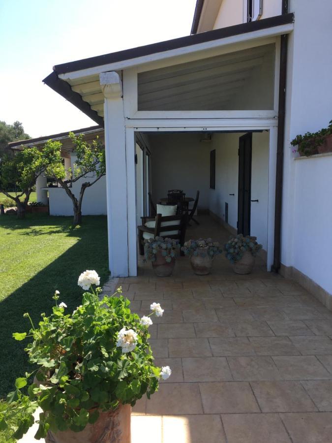 Villa Olga Tarquinia Exterior photo