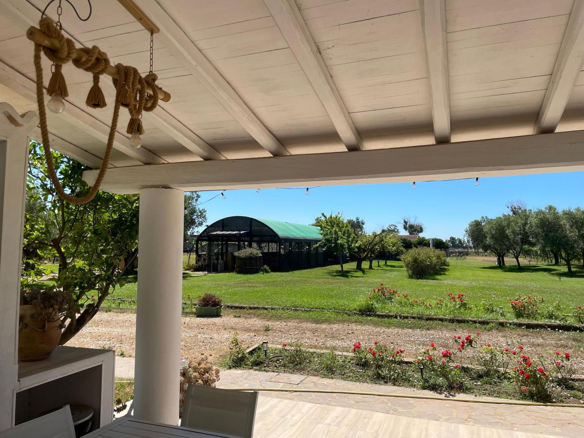 Villa Olga Tarquinia Exterior photo